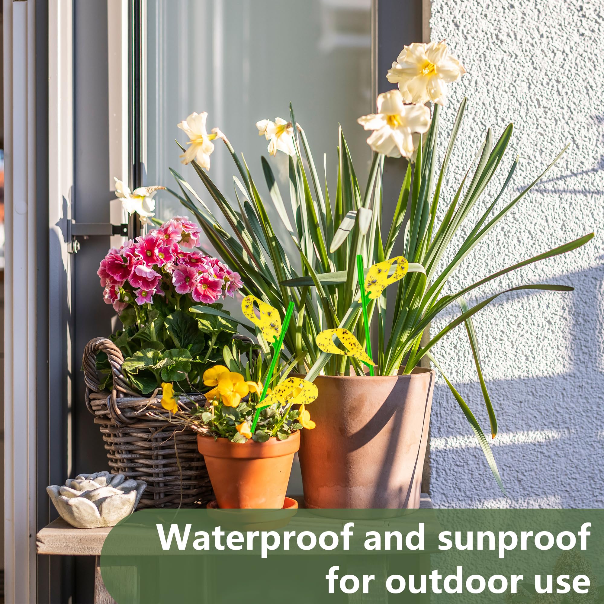 PestCon UV resistant and waterproof traps endure sun and rain