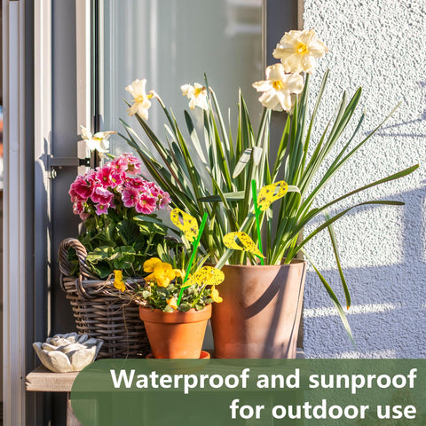 PestCon UV resistant and waterproof traps endure sun and rain