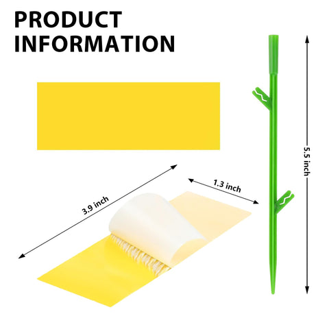 PestCon yellow traps with dual sided adhesive for quick pest capture