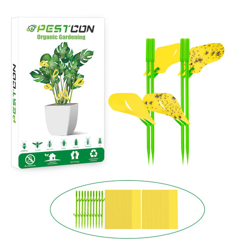 PestCon yellow sticky trap for plant gnats catches pests indoors