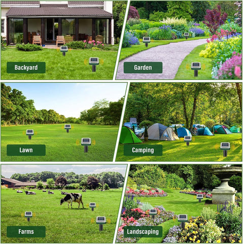PestMentor easy-installation steps showing quick setup in minutes.