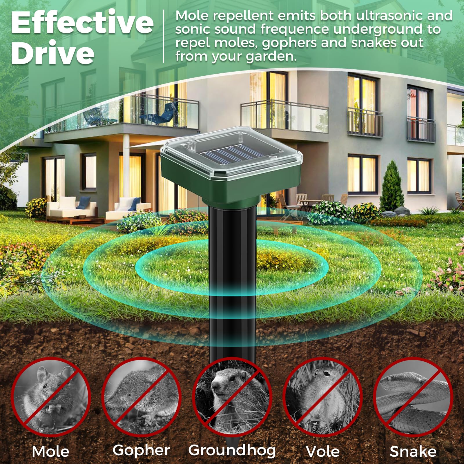 PestMentor Mole Repellent Stake Installation demonstrates easy, tool-free setup in the yard.