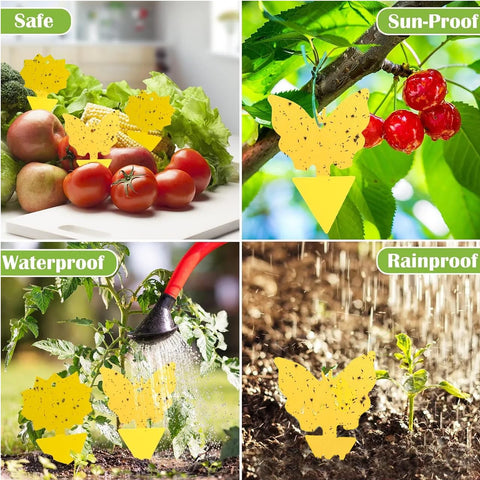 PestMentor odorless non-toxic traps safe for kids and pets.