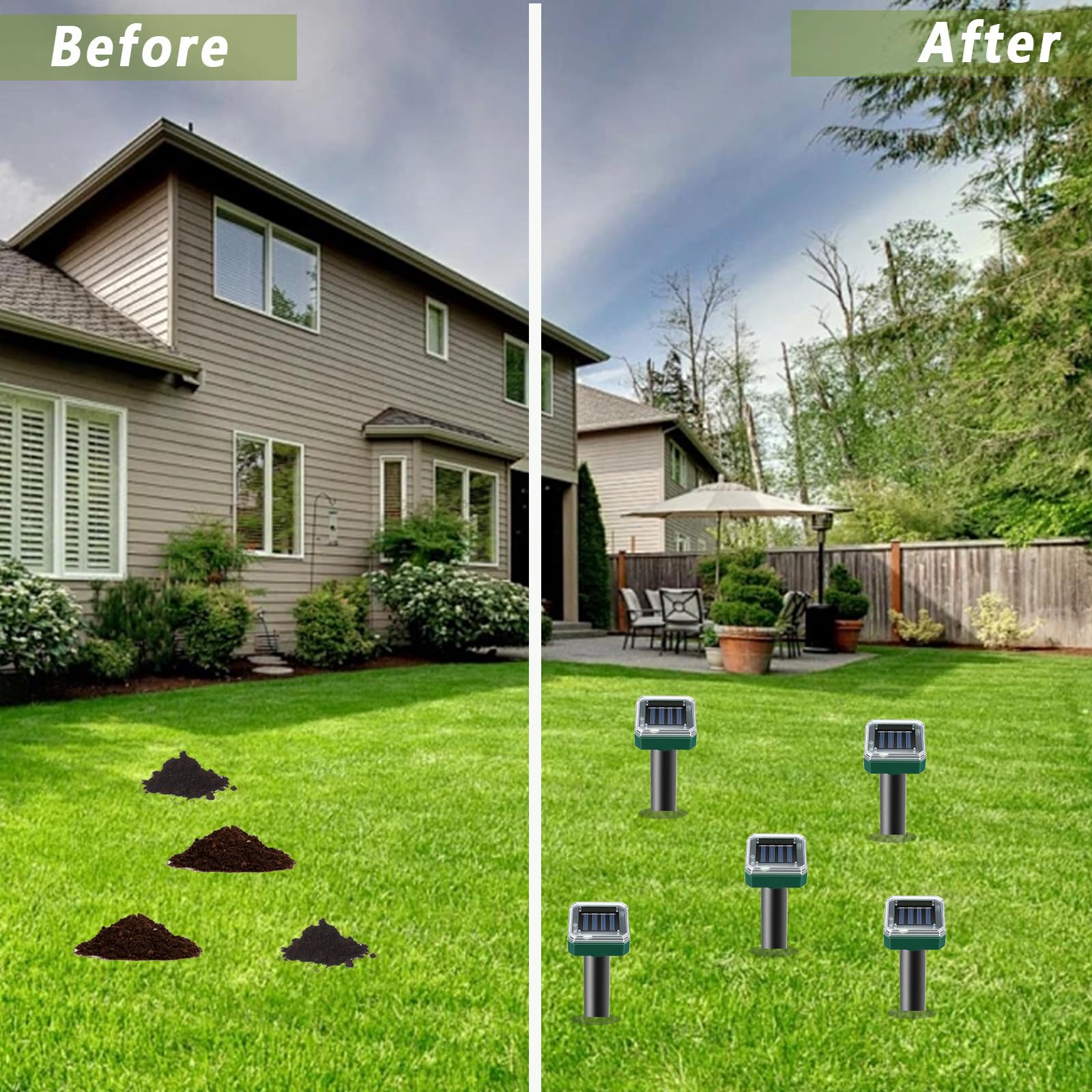 PestMentor weatherproof design endures rain and sun for year-round protection.