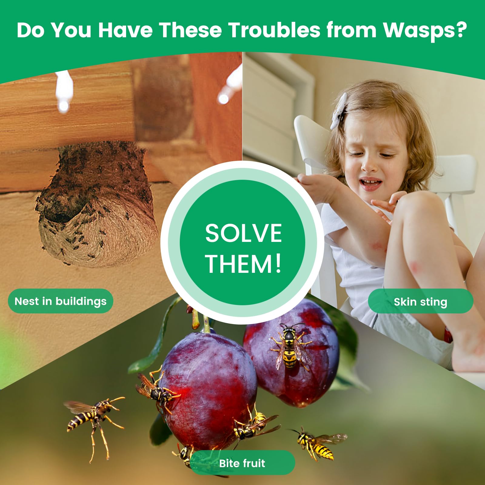 Pestvanish ABS yellow jacket trap shows durable weatherproof construction.