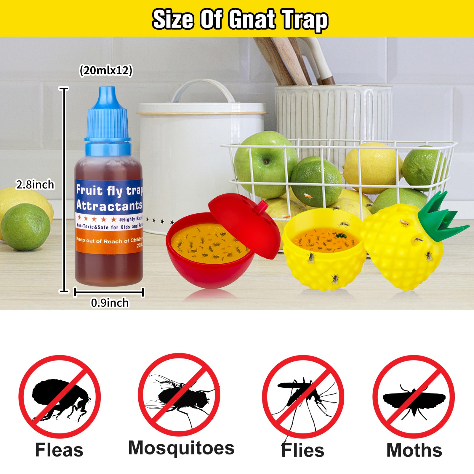 Open trap setup with Pestvanish refill liquid to lure gnats