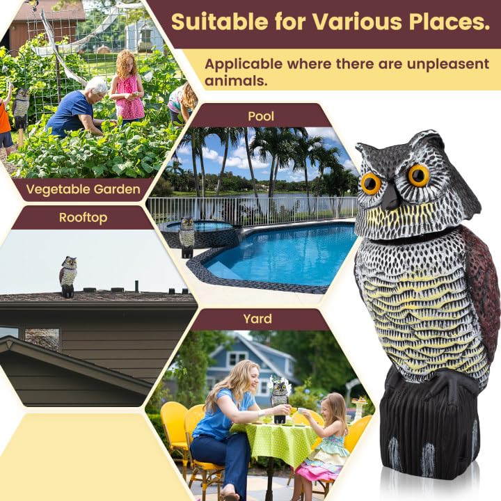 Pestvanish owl decoy features realistic design to scare away pests