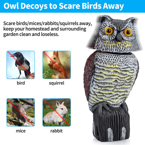 Pestvanish Owl Decoy waterproof finish stays vivid in rain