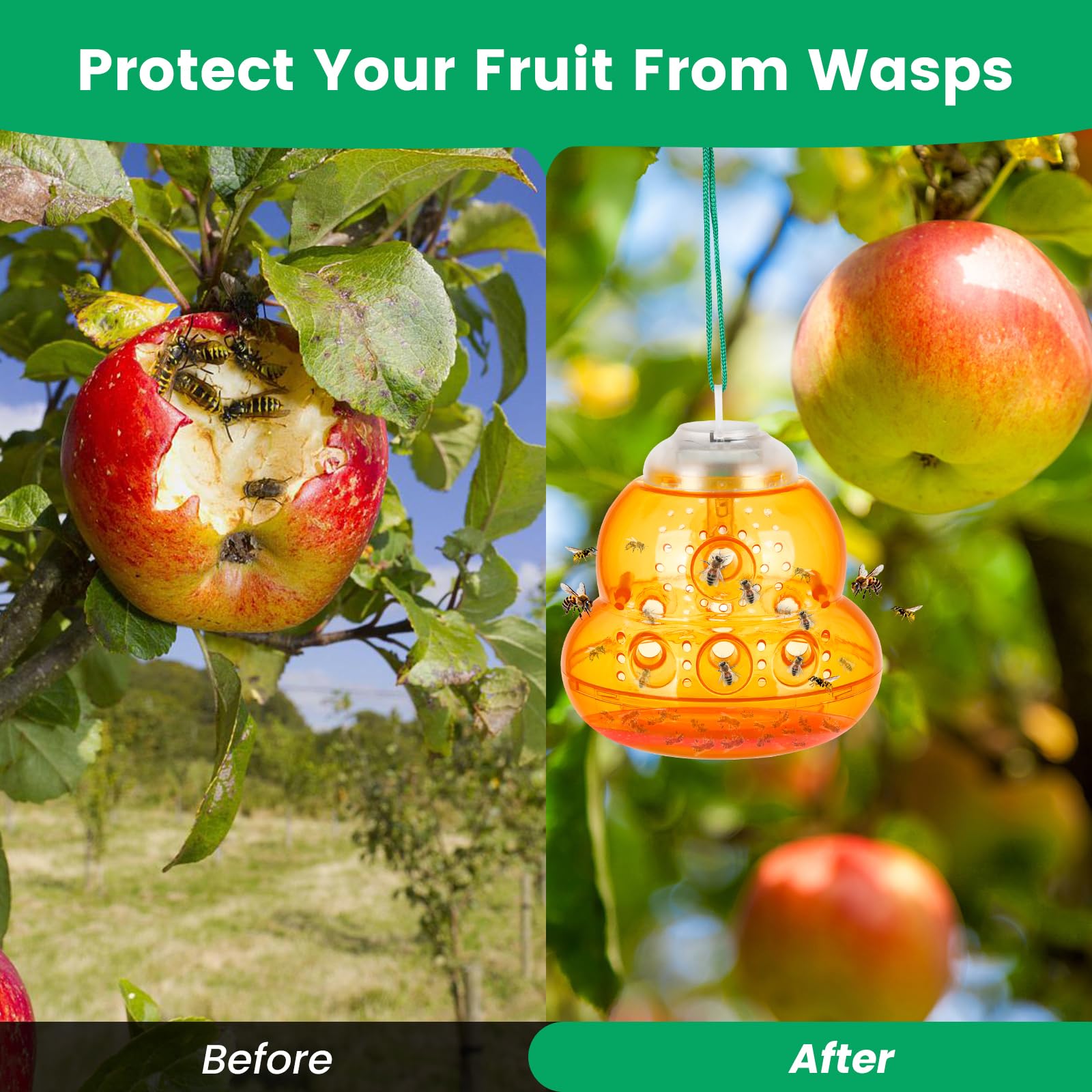Pestvanish Wasp Trap is weatherproof and reusable for seasons.