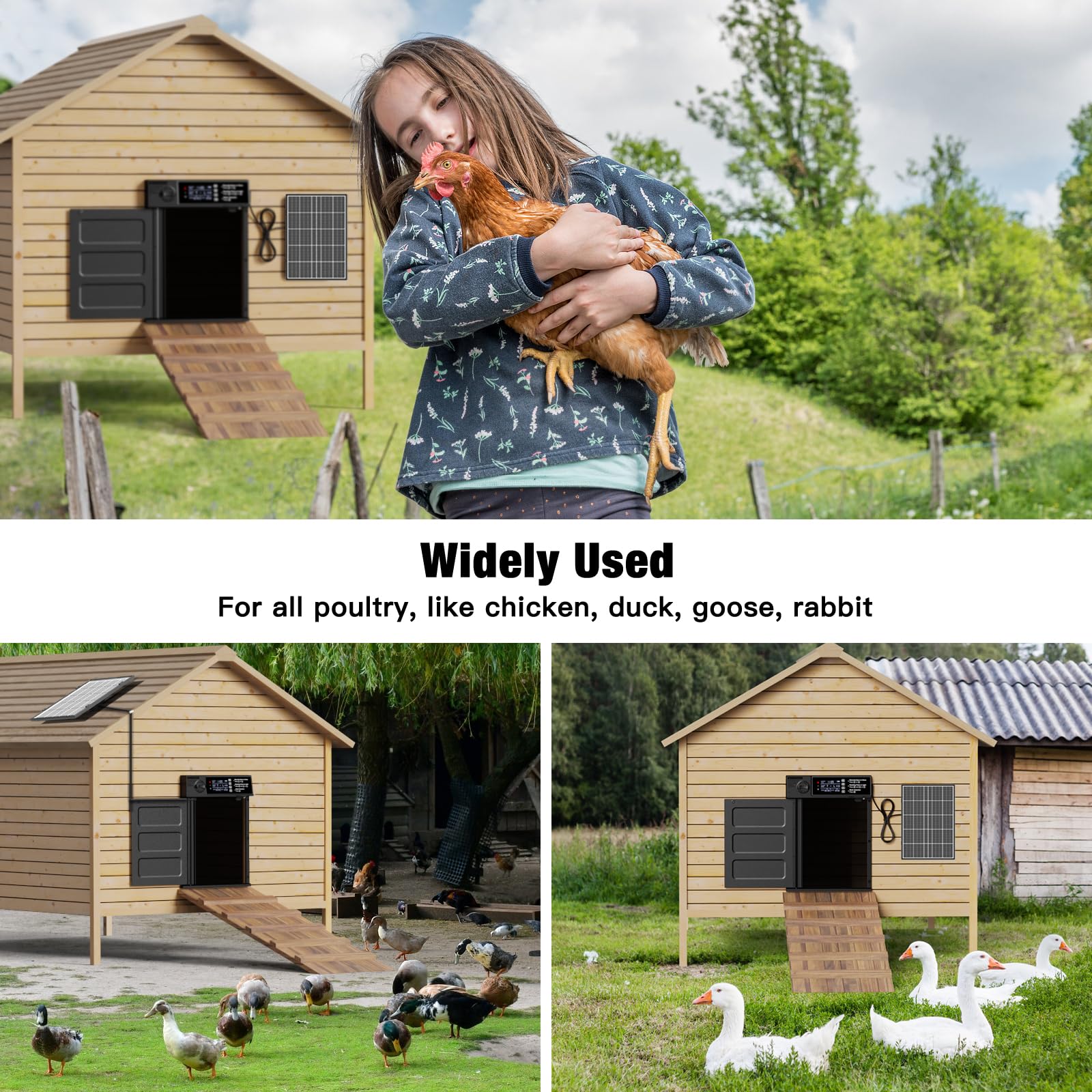 Pet Deluxe installation is quick and simple for off-grid setups.