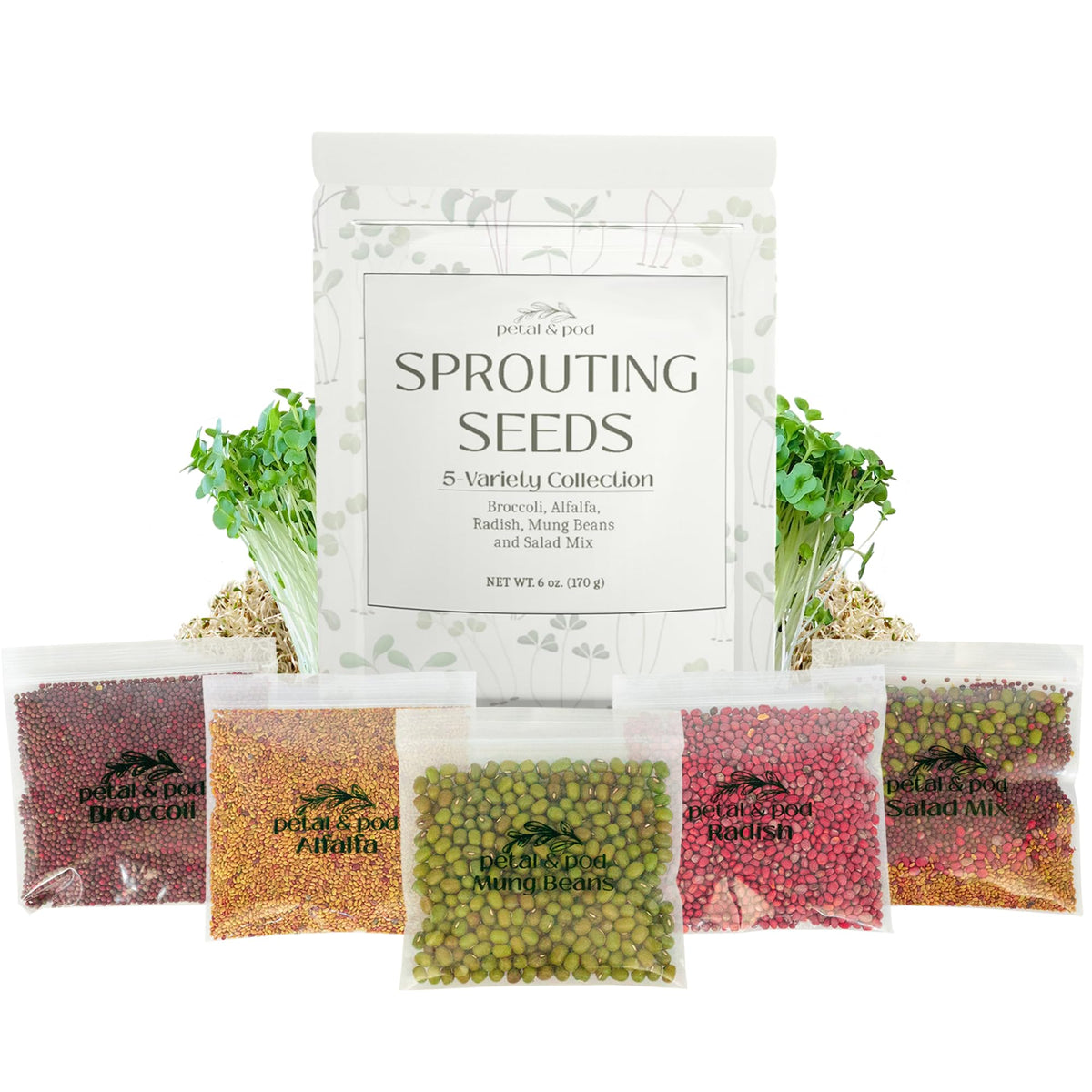 Petal & Pod broccoli sprouts in a tray, ready for harvest and fresh flavor