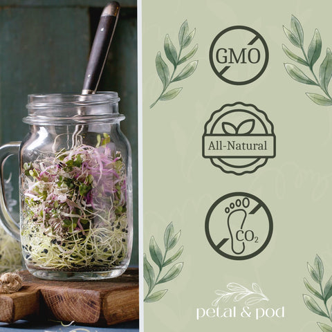 Petal & Pod radish sprouts bursting with peppery flavor for toppings