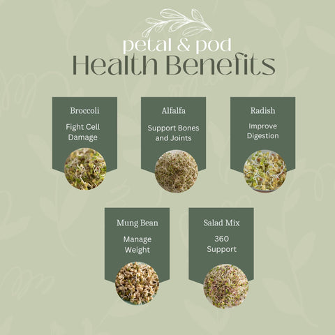 Petal & Pod salad mix sprouts in a bowl add color to meals