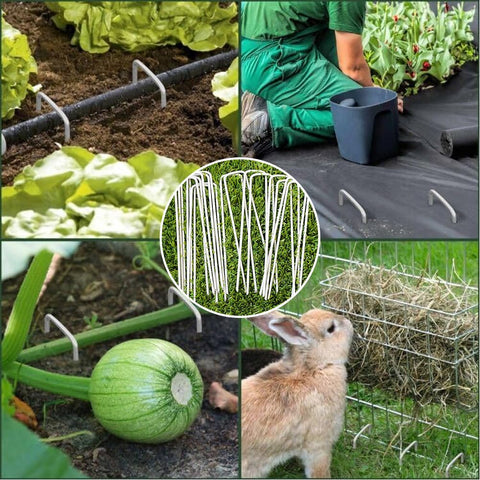 Petgrow secure fences and weed barriers with reliable stakes.