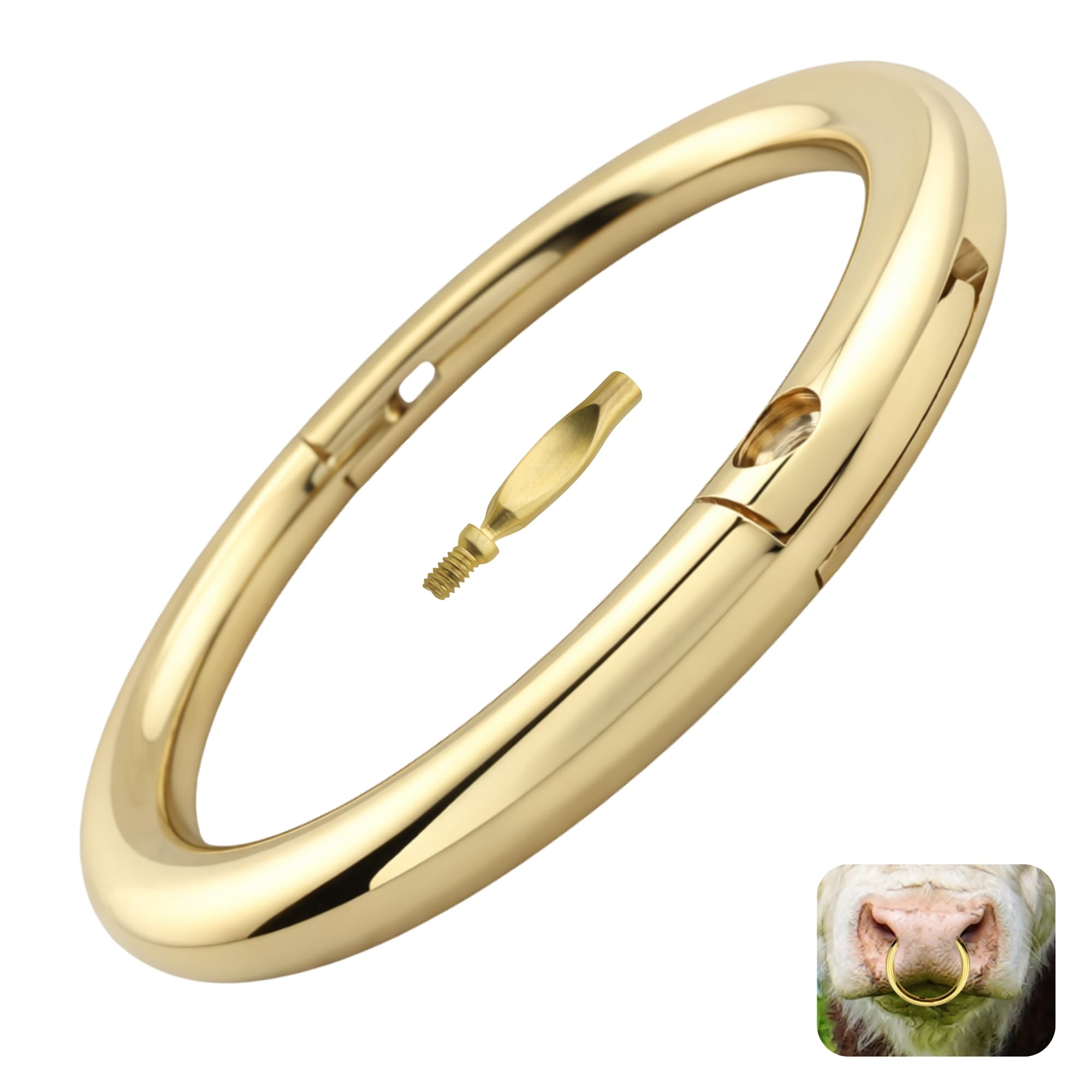 PETINUM bull nose ring in solid brass 3 inch for durable cattle handling and control.