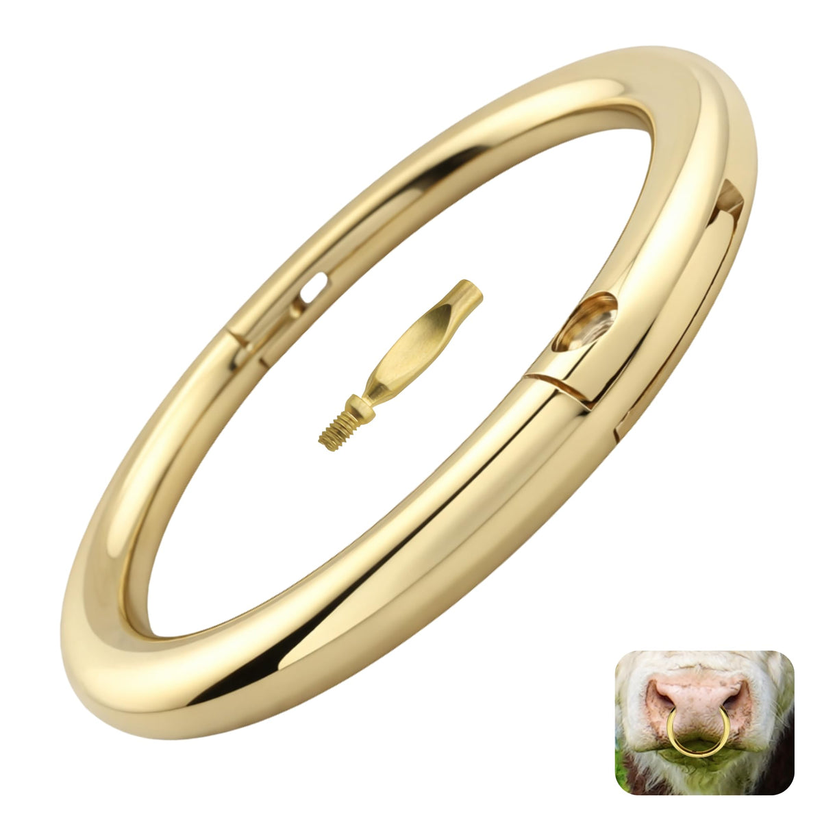 PETINUM bull nose ring in solid brass 3 inch for durable cattle handling and control.