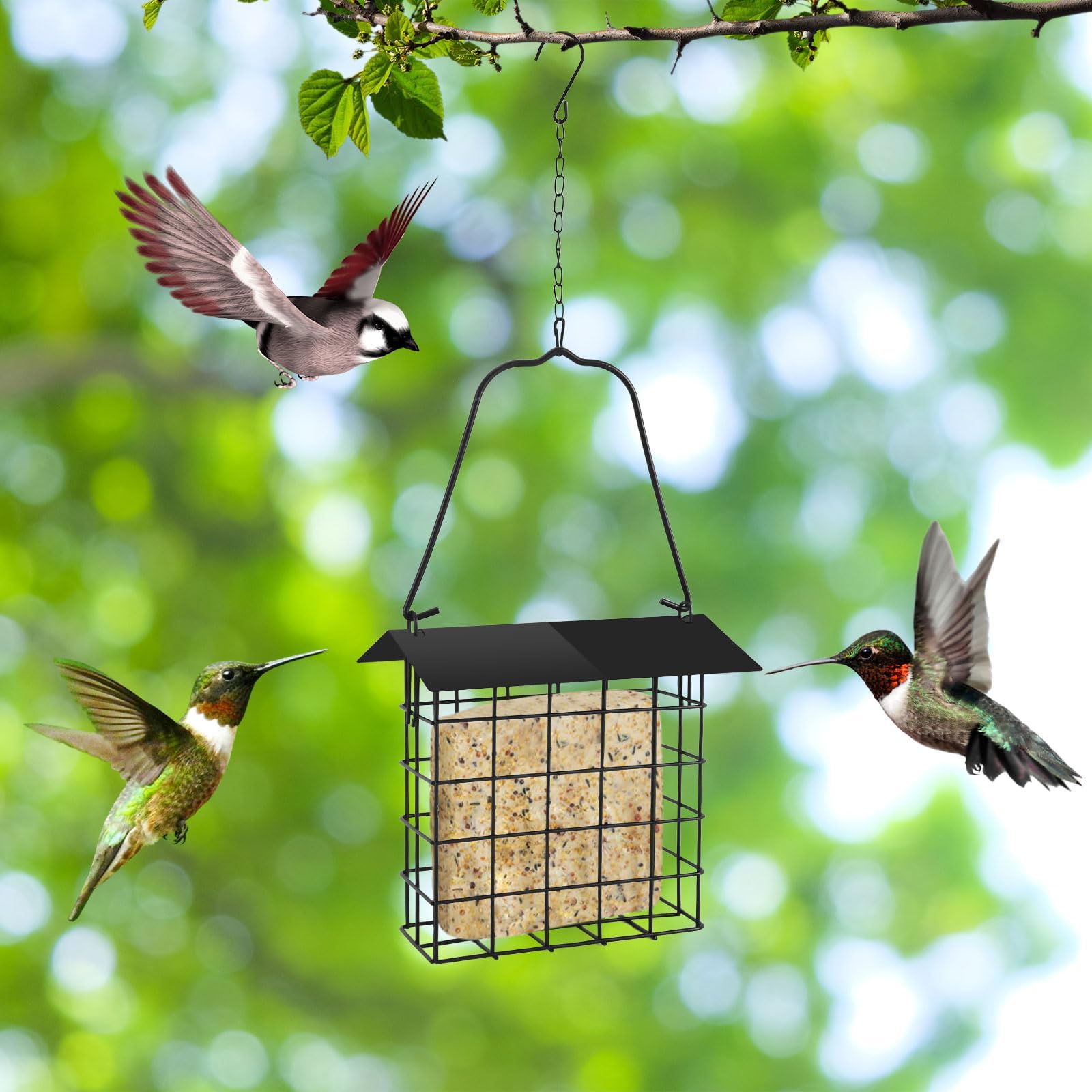 PETKNOWS double pack bird feeders ready for garden installation
