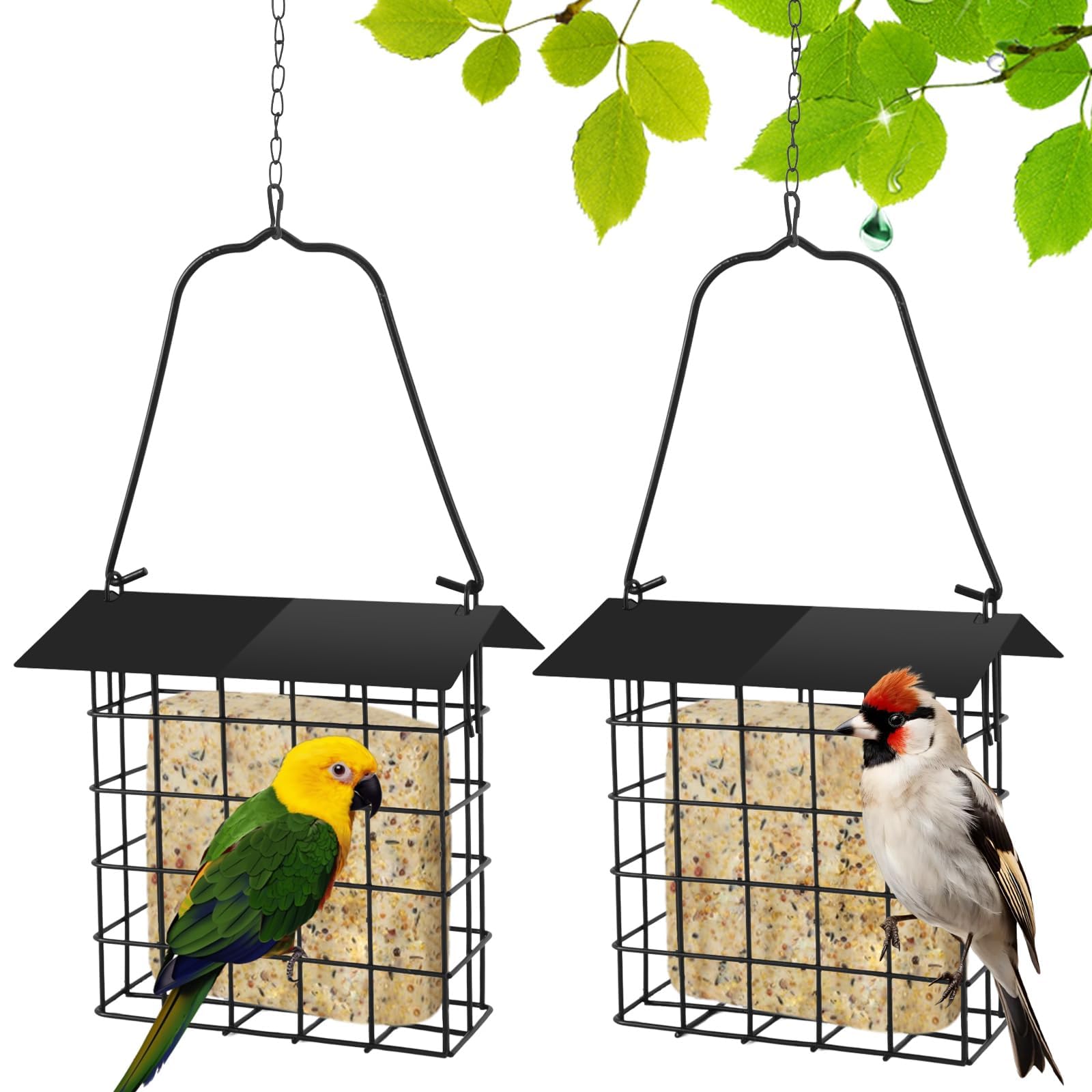 PETKNOWS suet feeder with metal roof protects food from rain while attracting birds