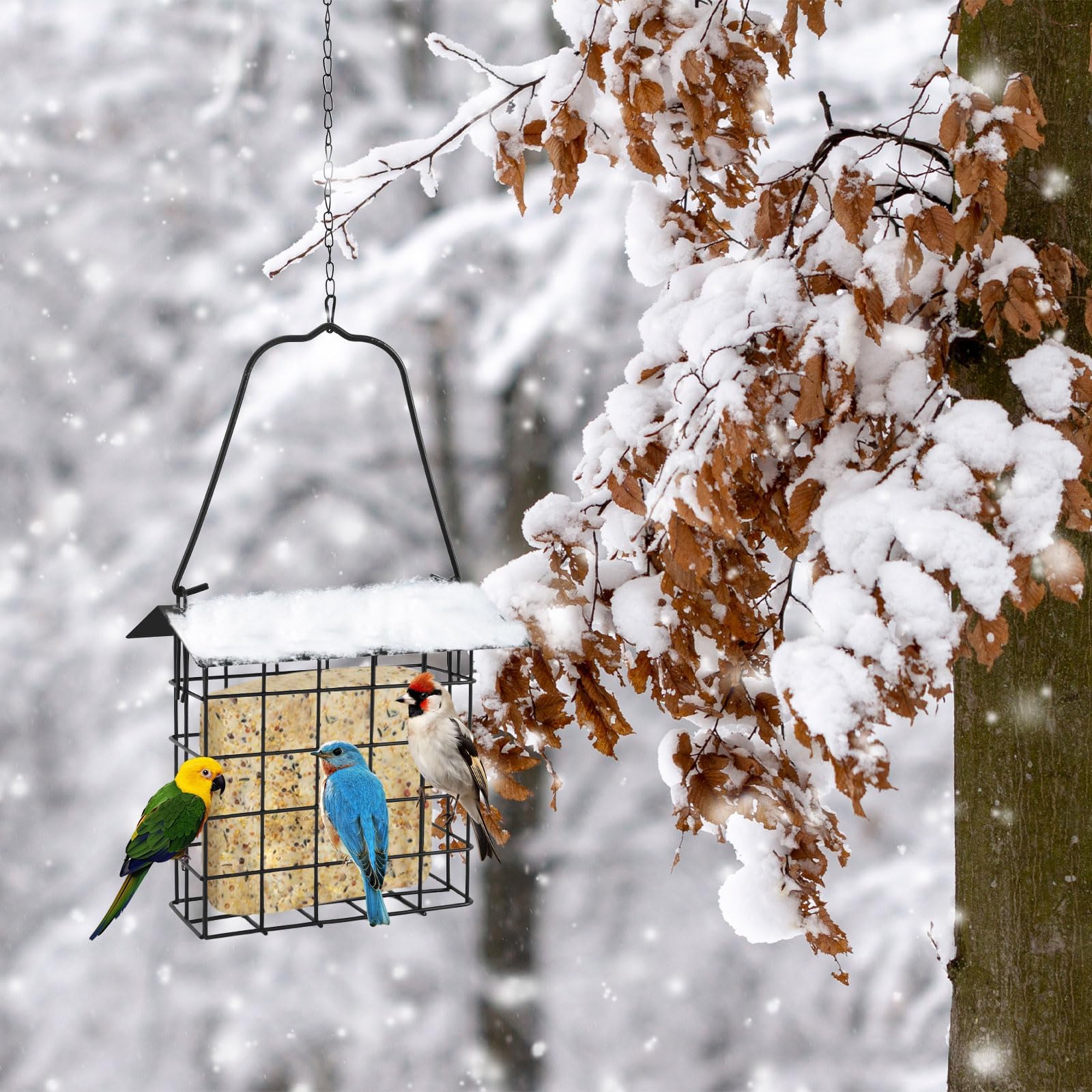 PETKNOWS woodpecker‑friendly feeder inviting woodpeckers to dine