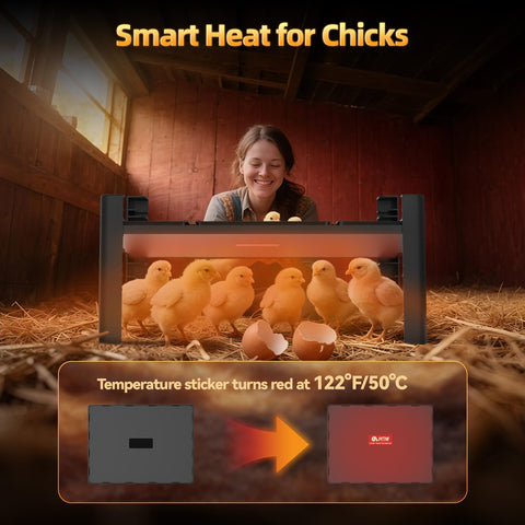 PETNF brooder plate height adjustable to grow with your chicks