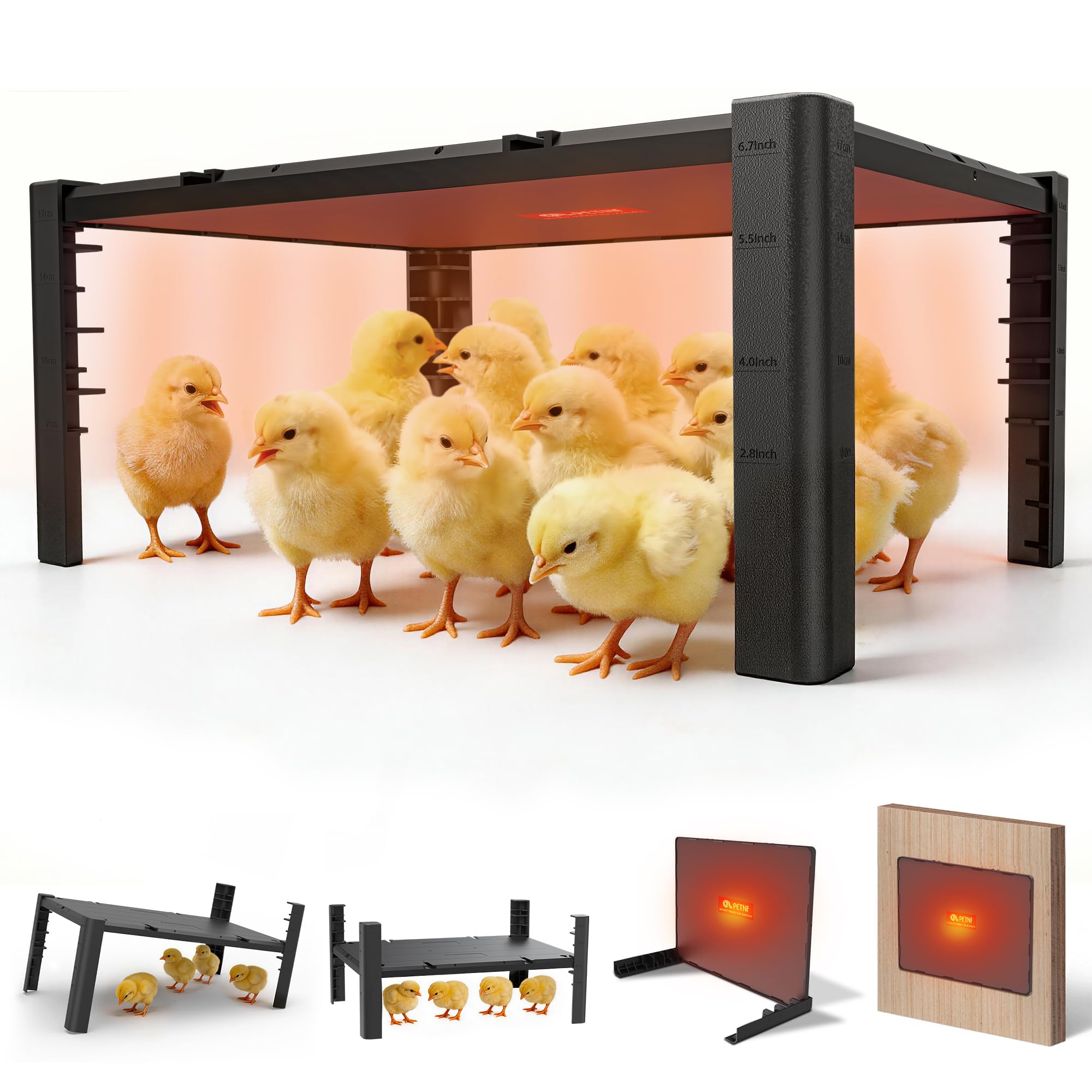 PETNF brooder plate surface heat area delivers even warmth for young chicks