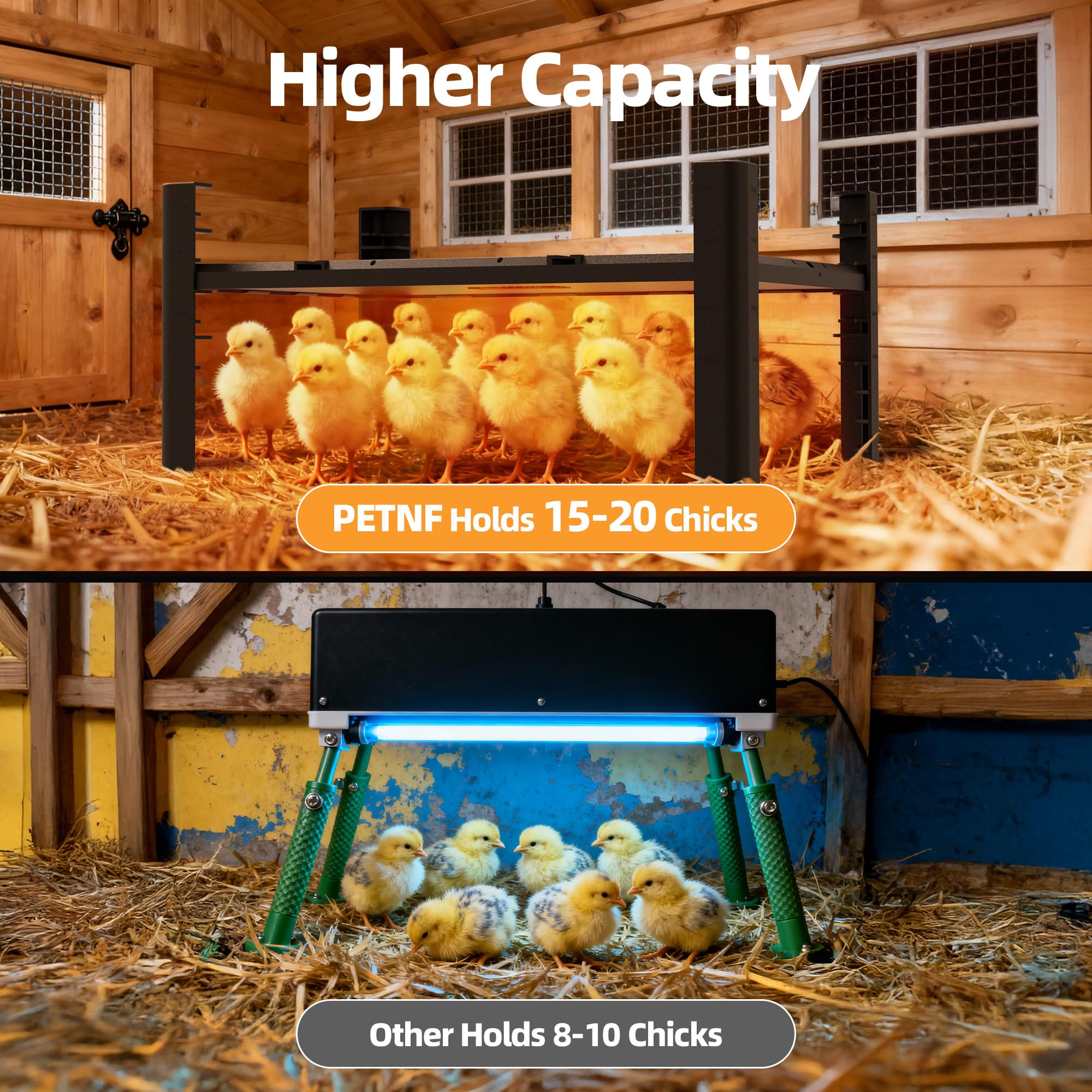 PETNF chick brooder surface provides gentle warmth and comfort