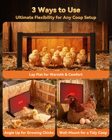 PETNF chick heat plate brooder spacious for 10–20 chicks.
