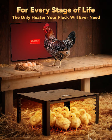PETNF chick heat plate horizontal setup saves coop space.