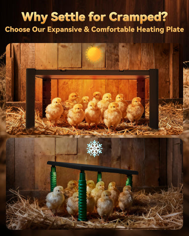 PETNF chick heat plate vertical stand demonstrates flexible placement.