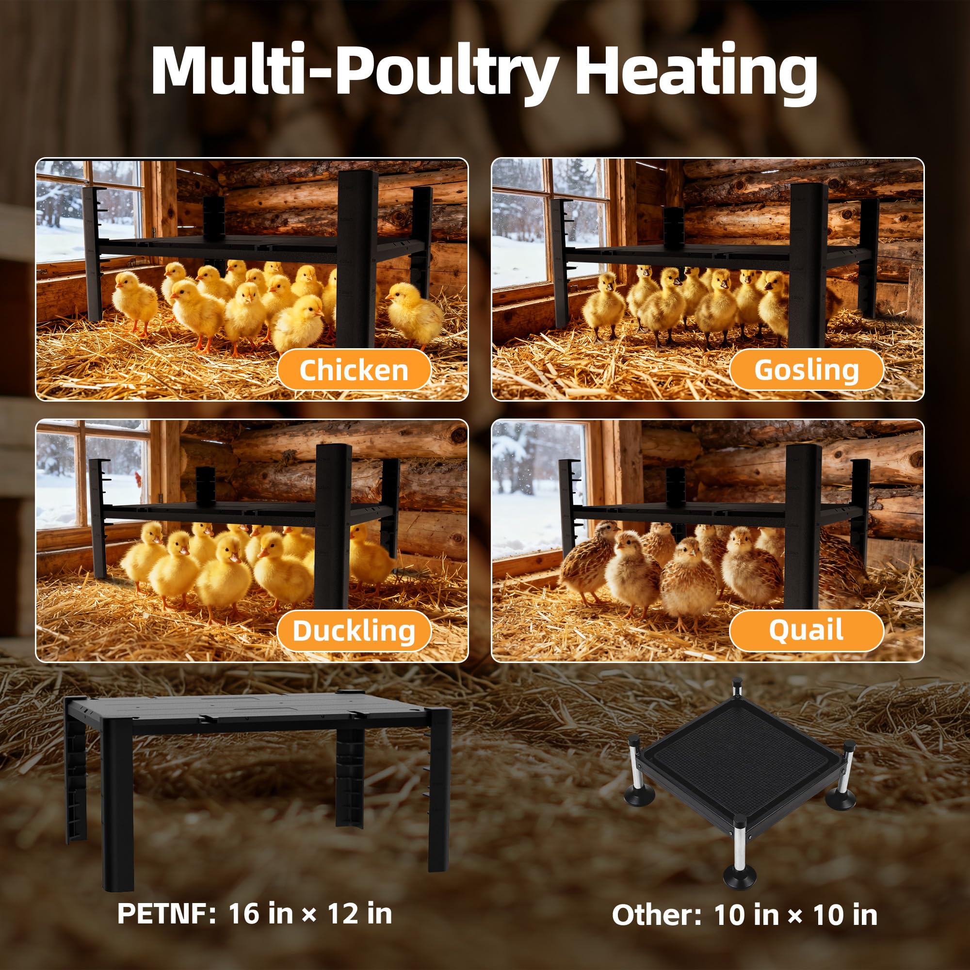PETNF multi-species poultry heater suitable for various young birds