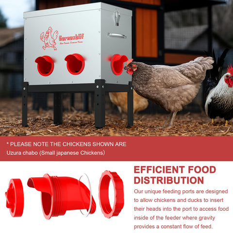 Petpvilit no-waste design with cover helps prevent feed theft and mess