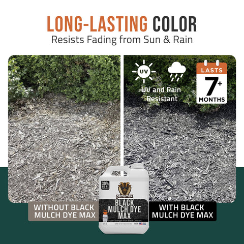 Petra Black Mulch Dye applied to rubber mulch border for renewed vibrancy.