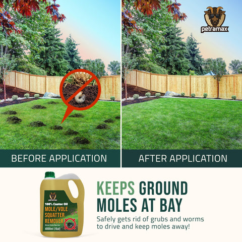 PetraMax Castor Oil spray on lawn demonstrating simple application and wide coverage.