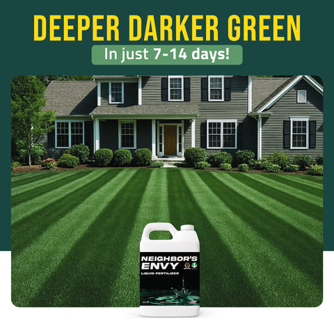 Sea kelp formula helps lawn resist drought with PetraMax Envy.