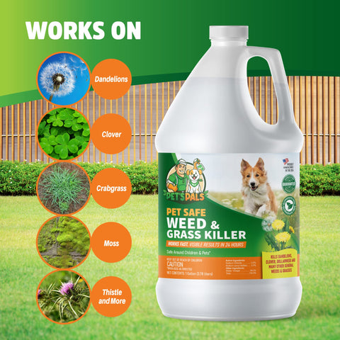 Pet's Pals Weed Killer being sprayed around flower beds for targeted weed control.