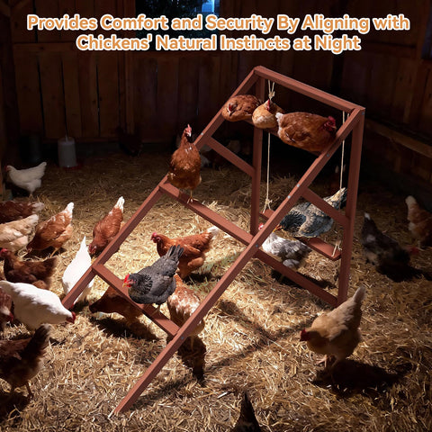 Petsfit 50-inch length offers generous space for flock interaction.