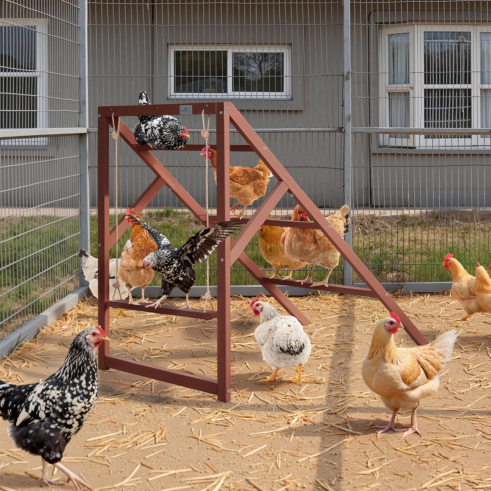 Petsfit ideal addition for backyard farms with multiple chicken coops.