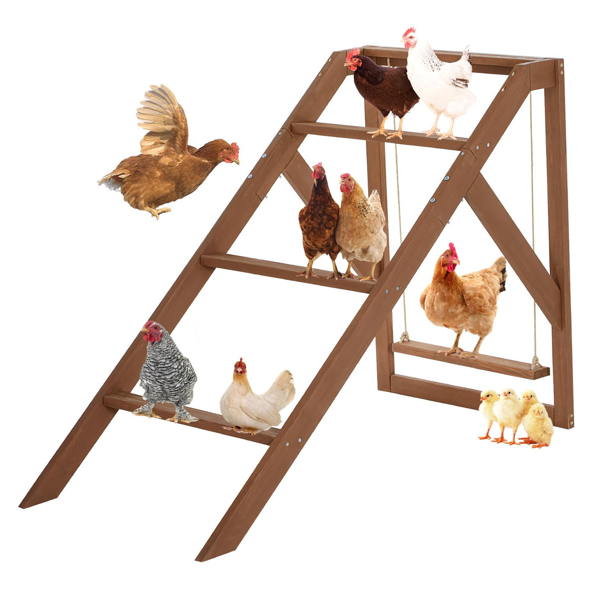 Petsfit chicken perch assembly shows easy setup for a sturdy coop