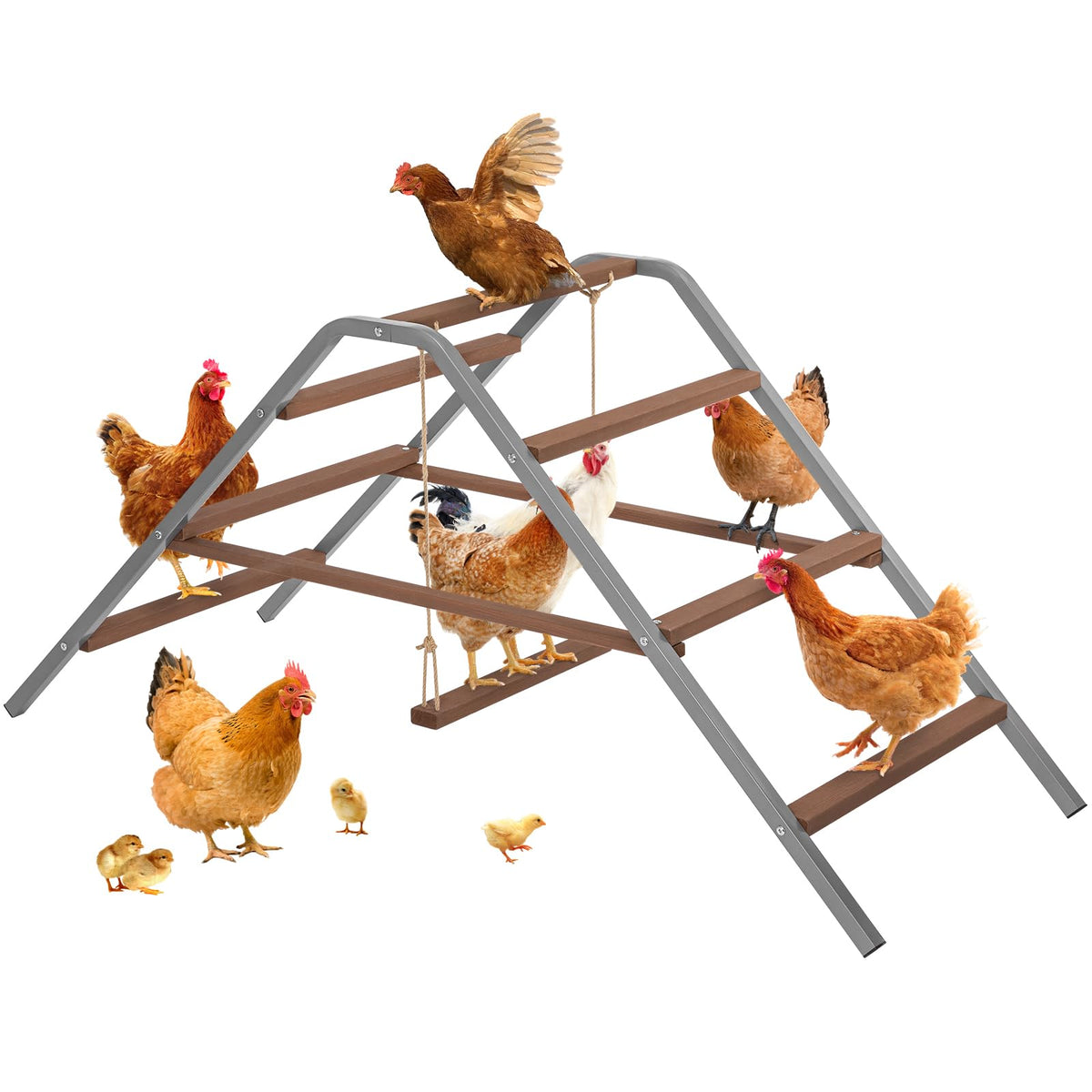 PETSFIT chicken roosting bar assembly guides quick setup for coops