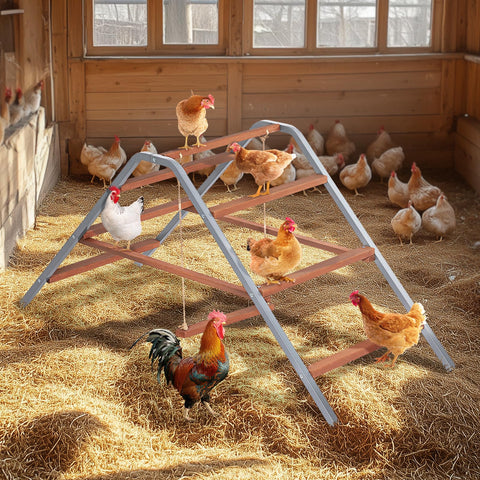 PETSFIT backyard coop accessory blends into any setting