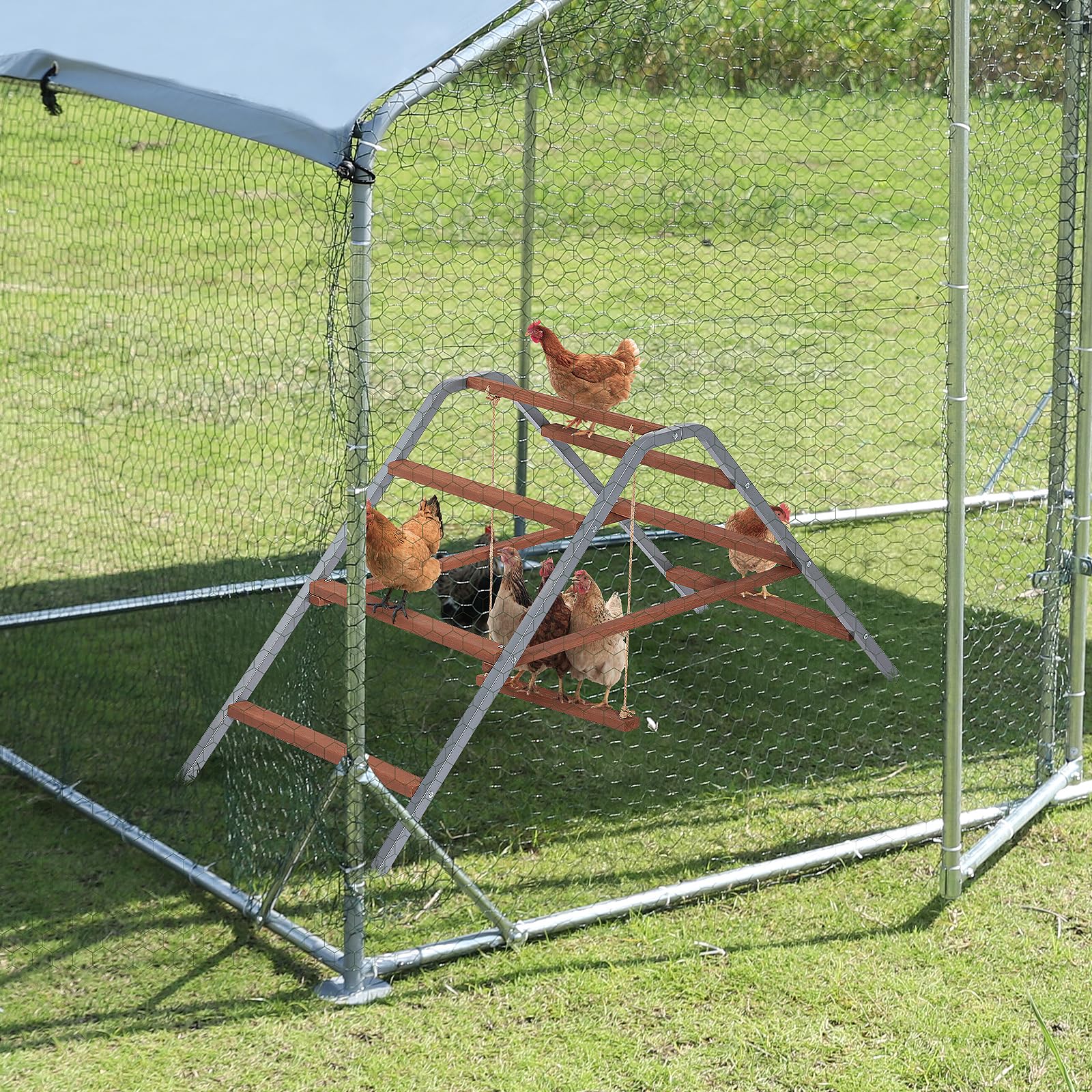 PETSFIT durable rustproof design withstands weather and daily flock activity