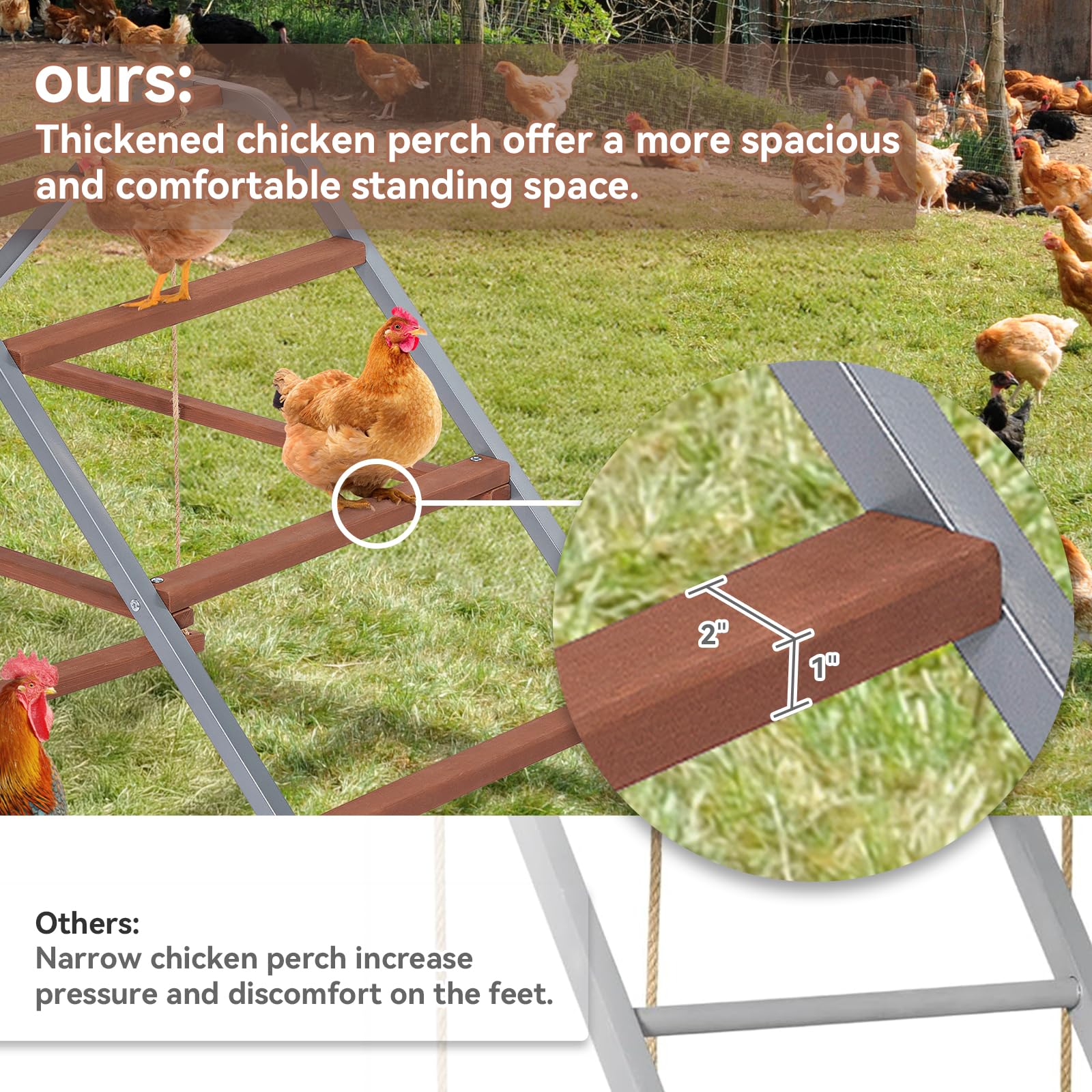 PETSFIT chicken roosting bar supports 10 to 12 chickens in coop layout