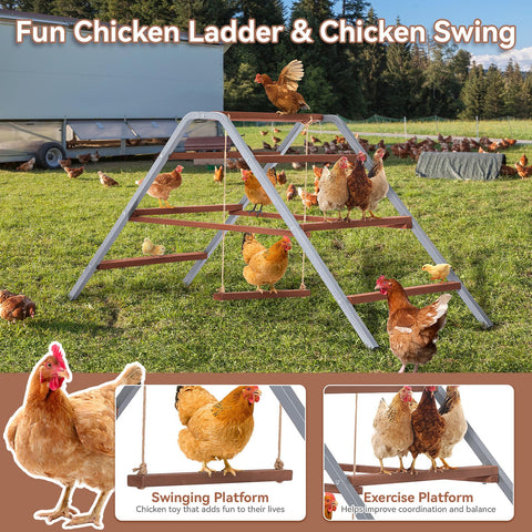 PETSFIT swing and ladder combination adds enrichment and exercise