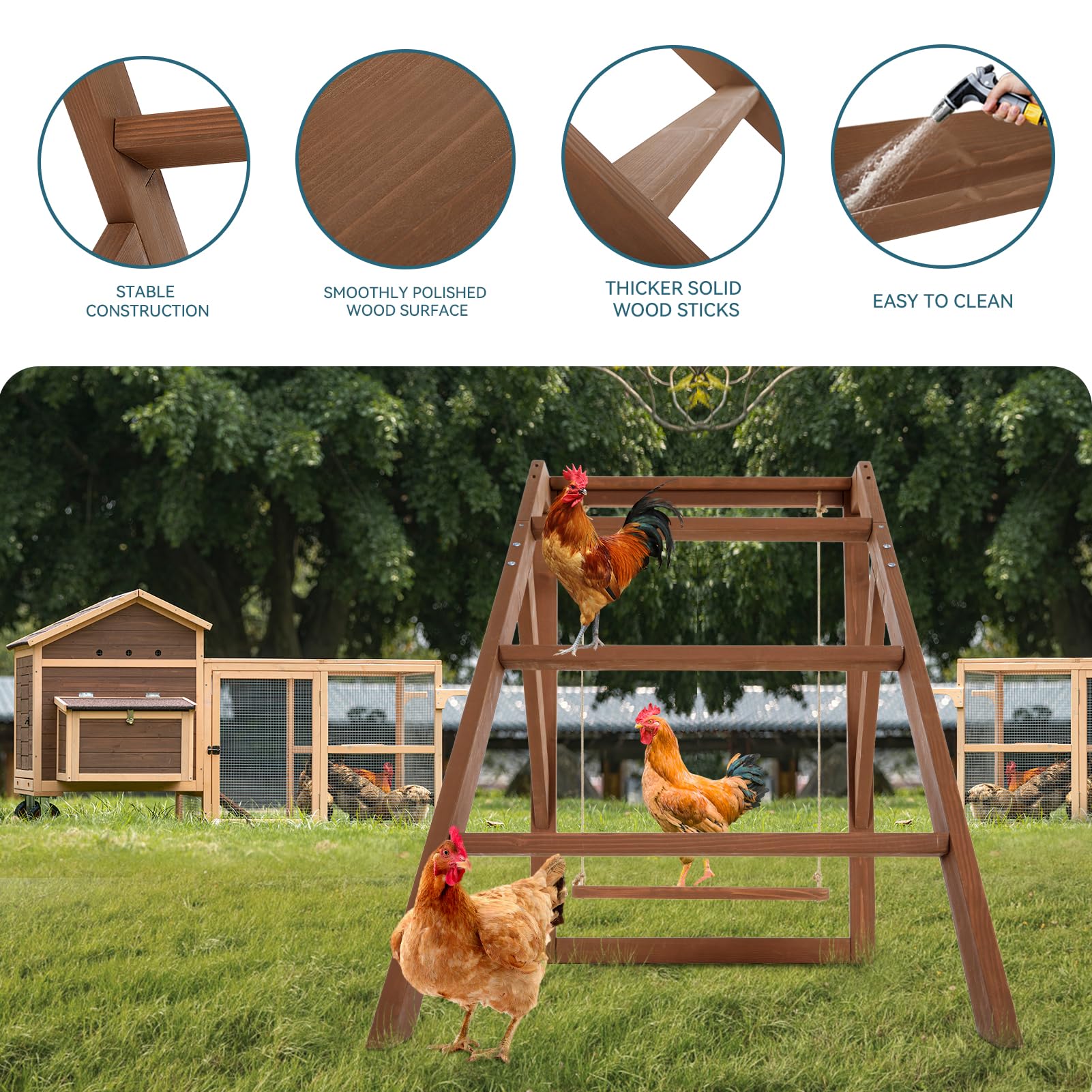 Petsfit chicken swing demonstrates added movement and entertainment for flock