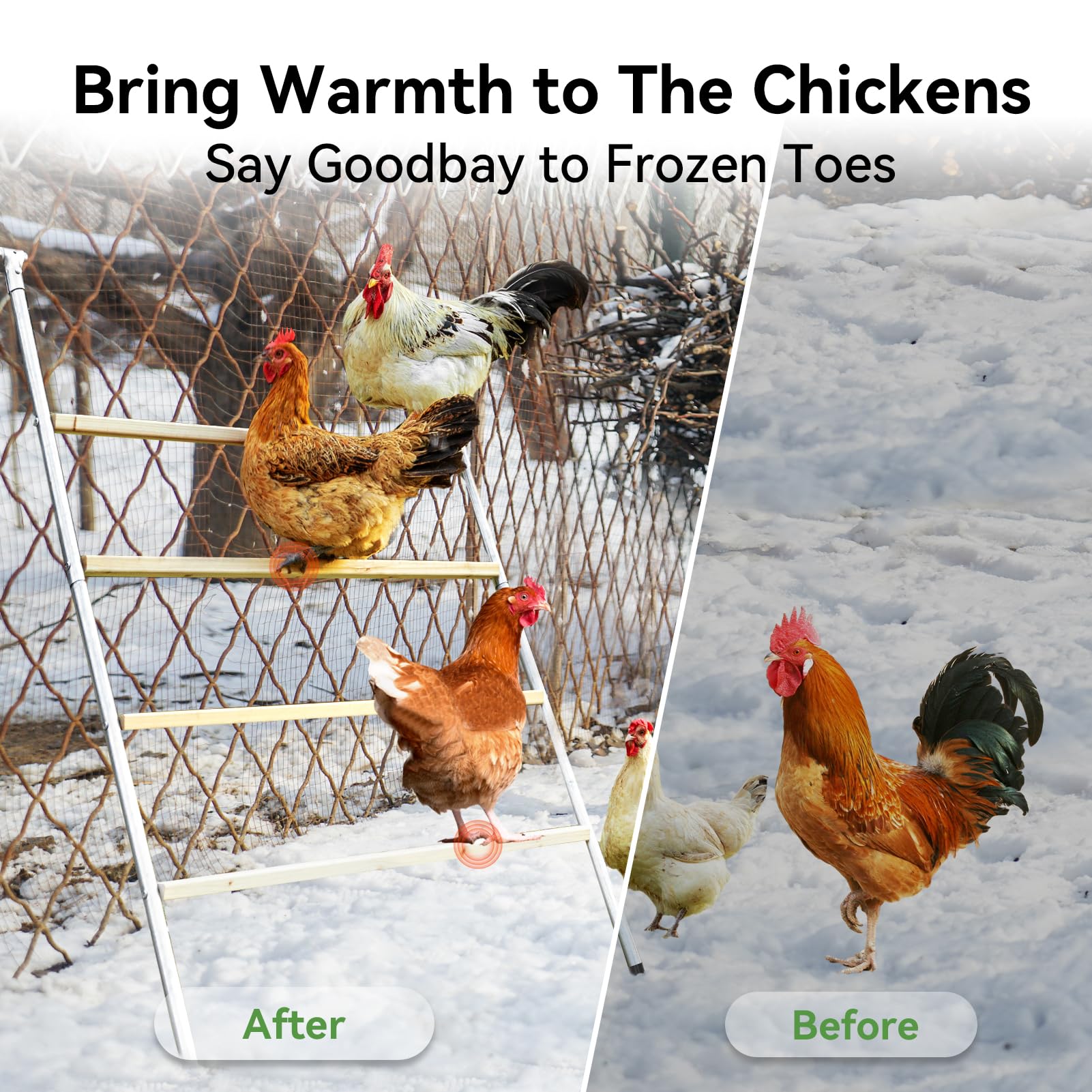 Petsfit easy-assembly design makes setup quick and mess-free.