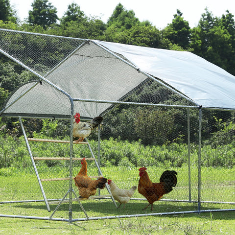 Petsfit four-layer-tiered design provides ample space for curious chickens.