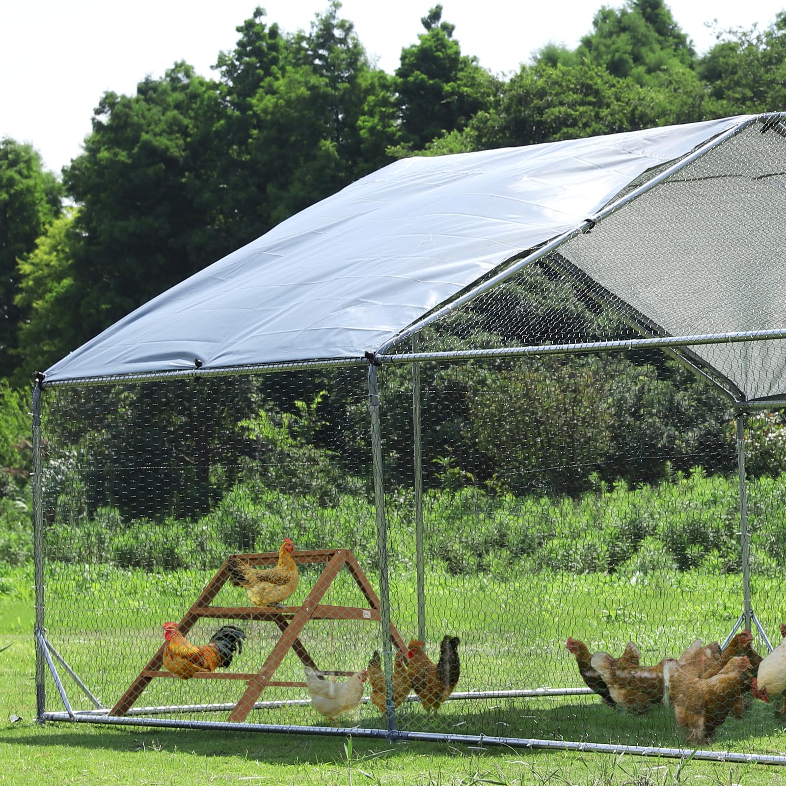 Petsfit roosting bars spacious perches encourage natural chicken behavior