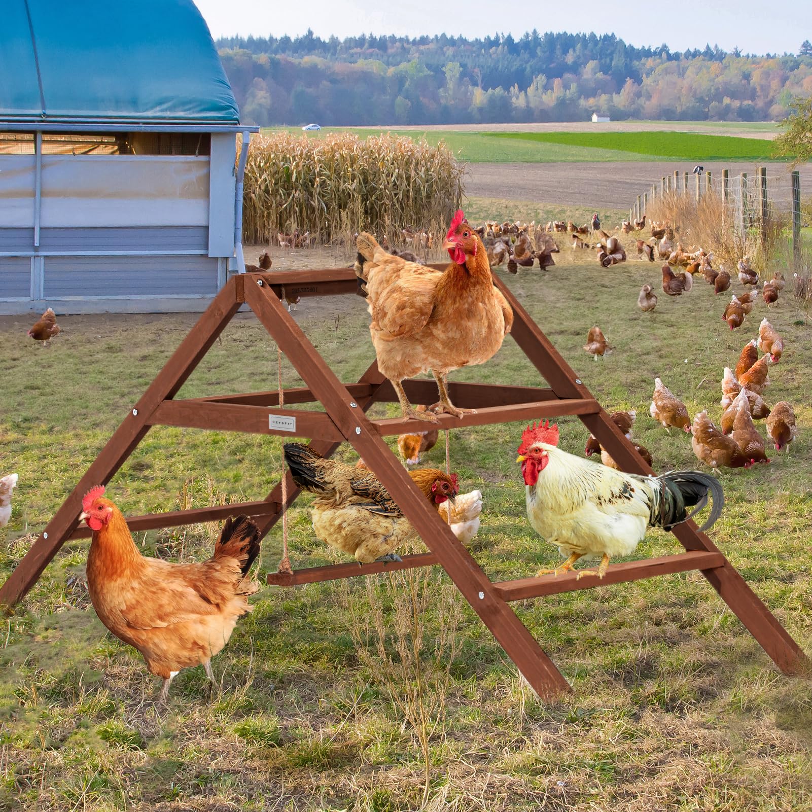 Petsfit roosting bars outdoor-ready design fits metal coops
