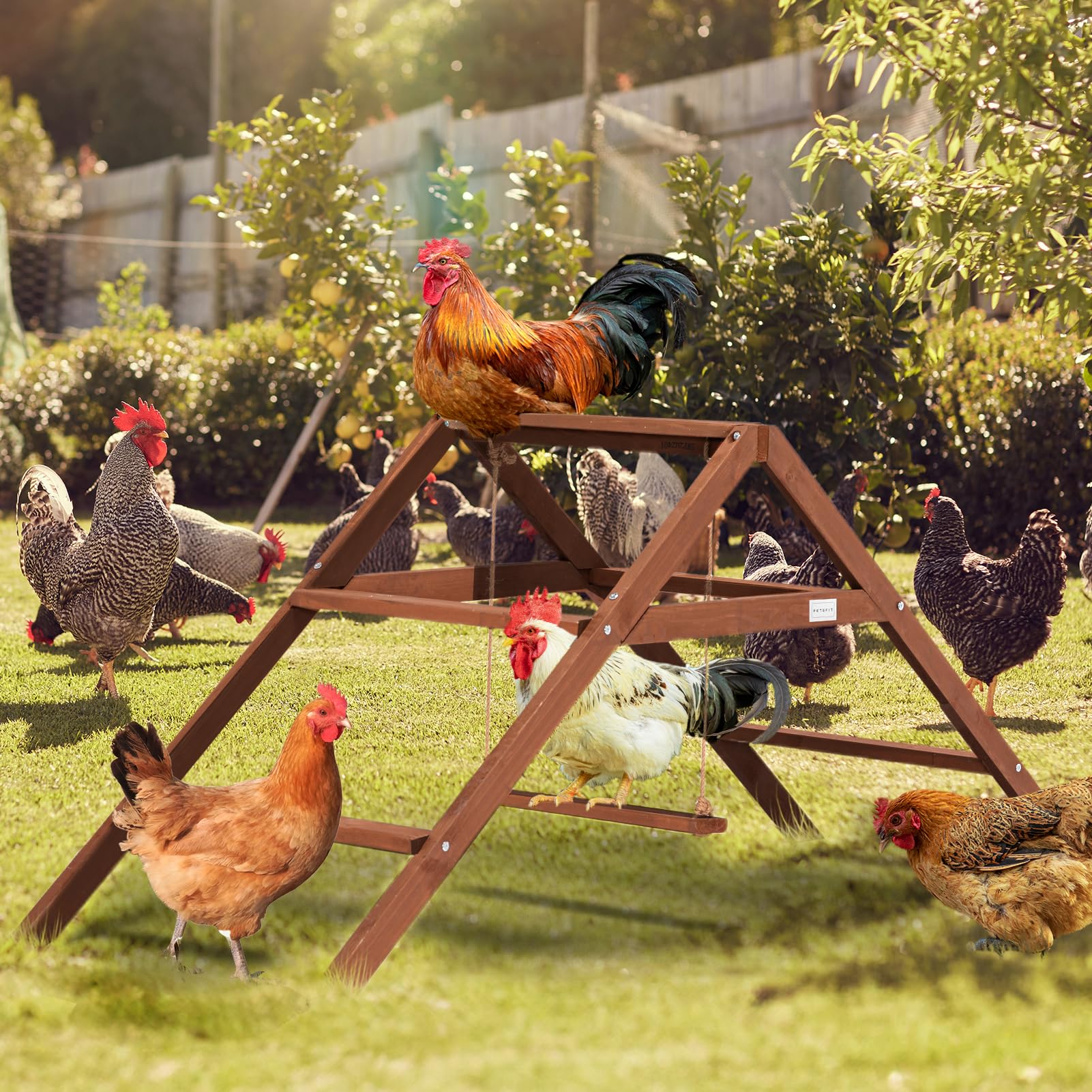 Petsfit roosting bars swing feature promotes movement and balance