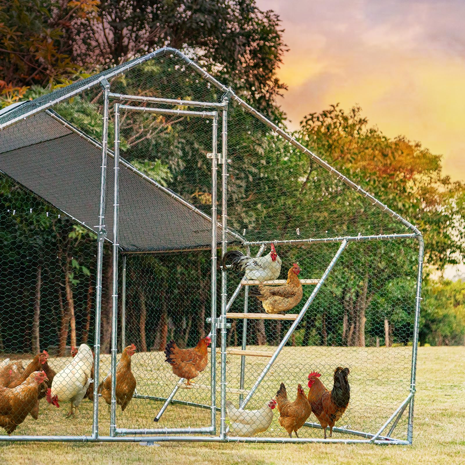 Petsfit rust-proof materials keep the roost sturdy through rain and sun.